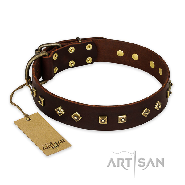 Handmade full grain natural leather dog collar with durable fittings