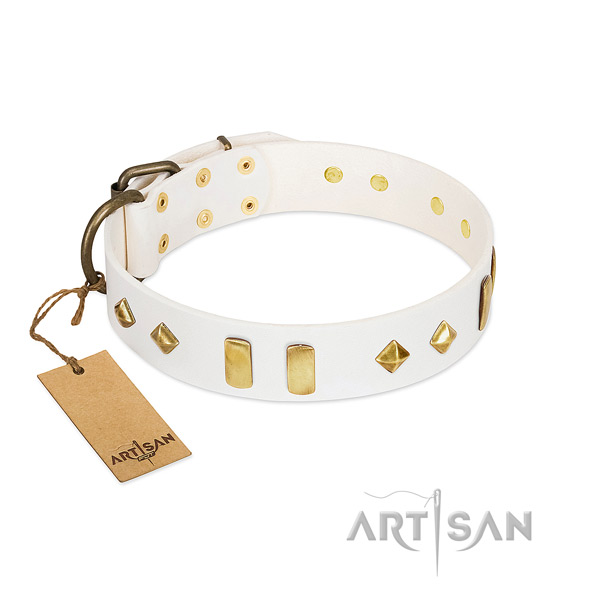 Fancy walking top notch leather dog collar with decorations