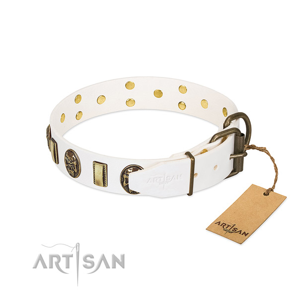 Durable fittings on full grain leather collar for walking your doggie