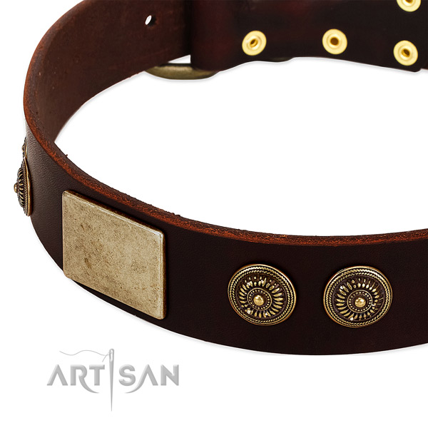 Strong buckle on full grain natural leather dog collar for your dog