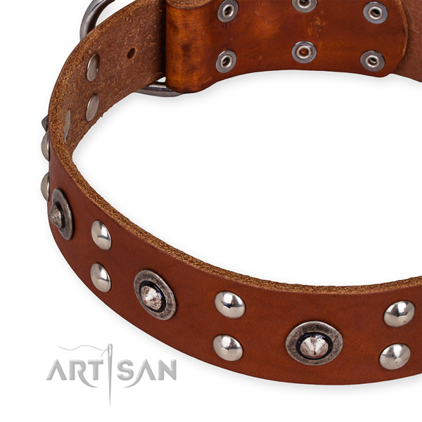 Full grain leather collar with corrosion proof D-ring for your impressive doggie