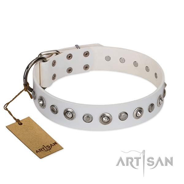 Top notch full grain natural leather dog collar with trendy embellishments