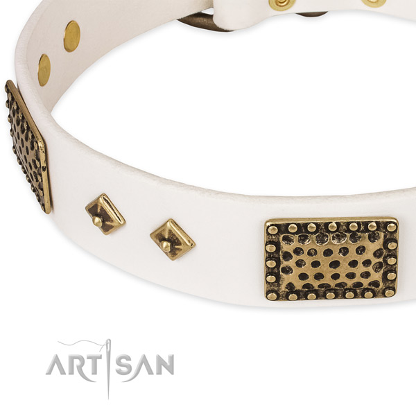 Corrosion proof decorations on full grain leather dog collar for your doggie