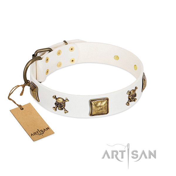 Top notch full grain leather dog collar with rust resistant embellishments