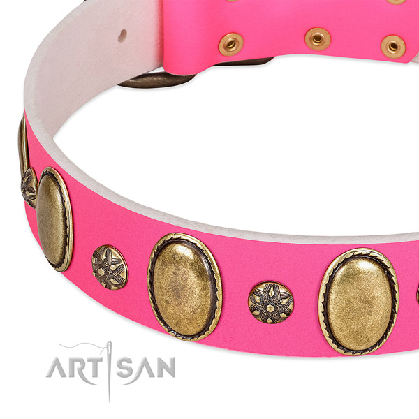 Quality natural leather dog collar with reliable fittings