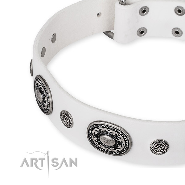 Flexible genuine leather dog collar handcrafted for your handsome four-legged friend