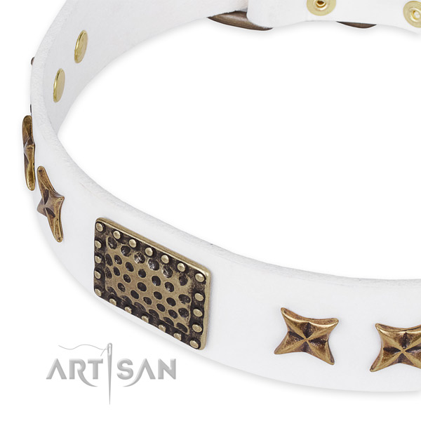 Full grain natural leather collar with corrosion resistant fittings for your stylish pet