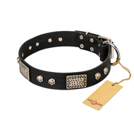 "Pirates Gold" FDT Artisan Black Leather Great Dane Collar with Old Silver Look Plates and Skulls