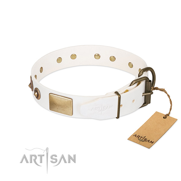 Durable D-ring on natural genuine leather dog collar for your four-legged friend