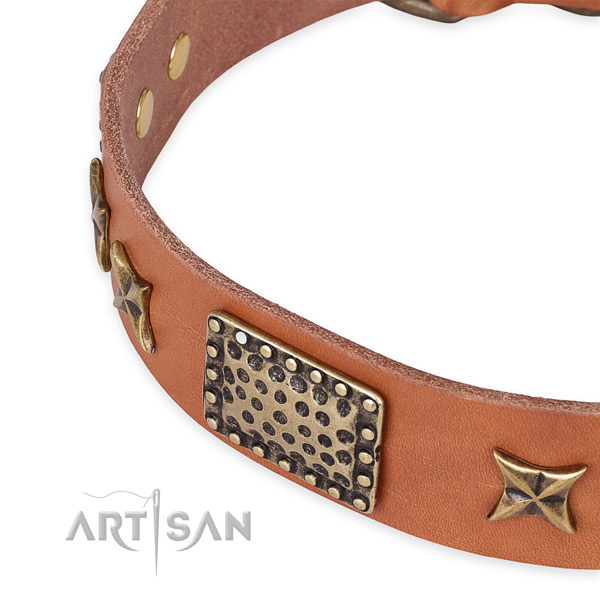 Full grain natural leather collar with corrosion proof fittings for your lovely doggie