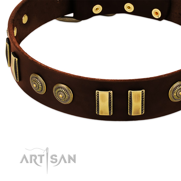 Rust resistant adornments on natural leather dog collar for your doggie