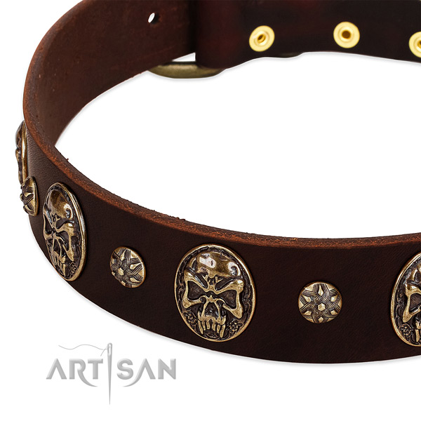 Rust resistant fittings on full grain natural leather dog collar for your four-legged friend