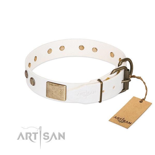 Corrosion resistant fittings on everyday use dog collar