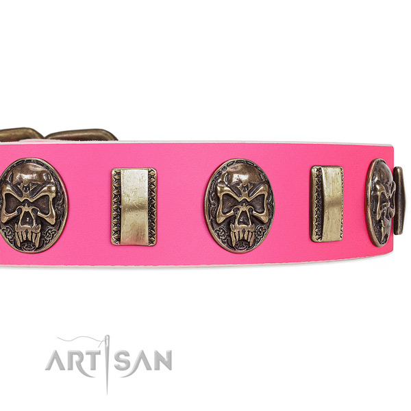 Rust-proof studs on genuine leather dog collar for your four-legged friend