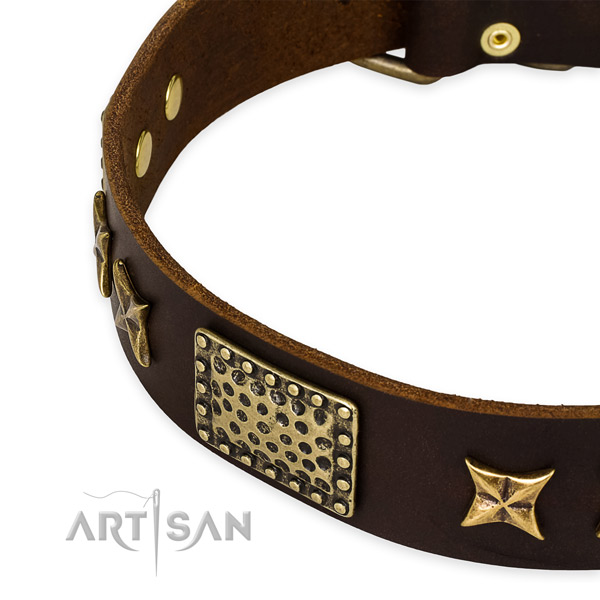 Genuine leather collar with rust resistant hardware for your stylish dog