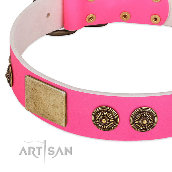 Unique dog collar created for your handsome pet