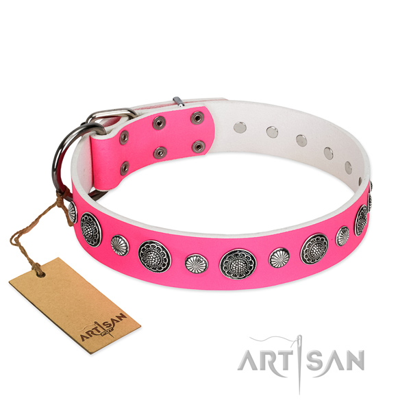 Durable full grain leather dog collar with corrosion resistant traditional buckle