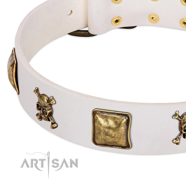 Stunning natural leather dog collar with rust resistant adornments
