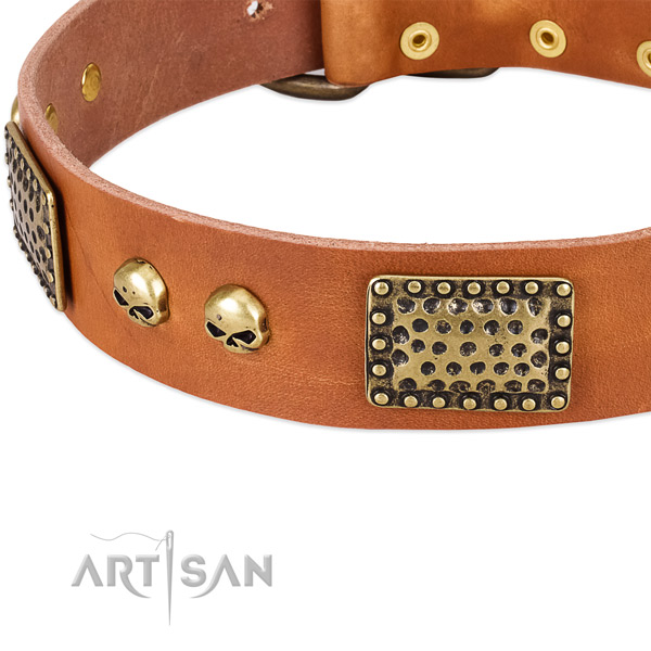 Corrosion proof embellishments on full grain leather dog collar for your pet