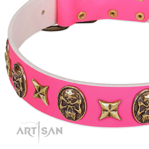 Leather dog collar with exquisite studs