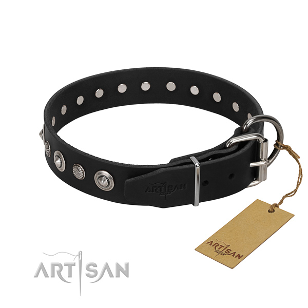 Strong full grain natural leather dog collar with extraordinary studs