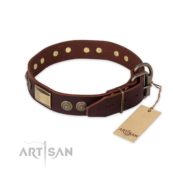 Corrosion proof traditional buckle on full grain leather collar for fancy walking your pet