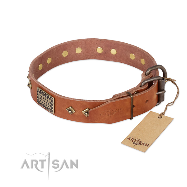 Genuine leather dog collar with durable D-ring and embellishments