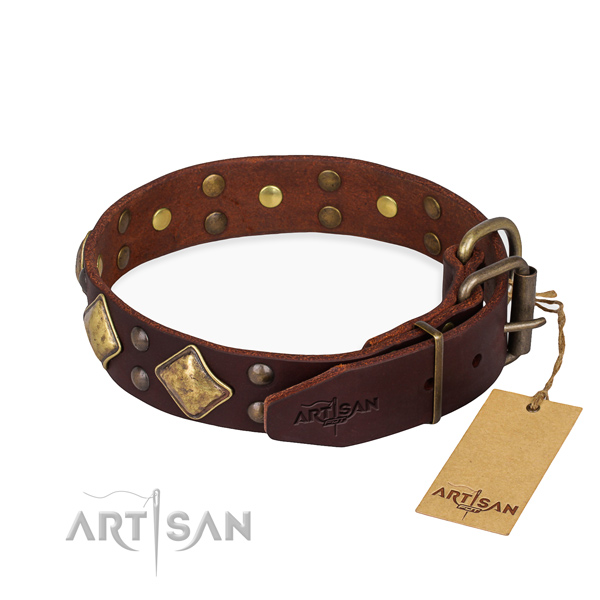 Leather dog collar with extraordinary rust resistant studs