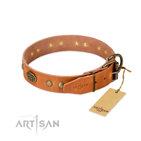Rust-proof traditional buckle on genuine leather dog collar for your four-legged friend