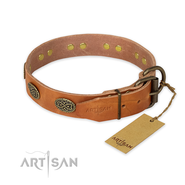 Corrosion proof fittings on full grain leather collar for everyday walking your pet