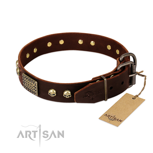 Rust-proof fittings on everyday walking dog collar