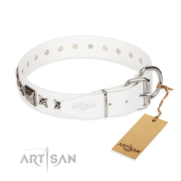 Durable adorned dog collar of leather