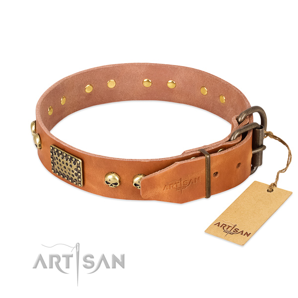 Reliable embellishments on basic training dog collar