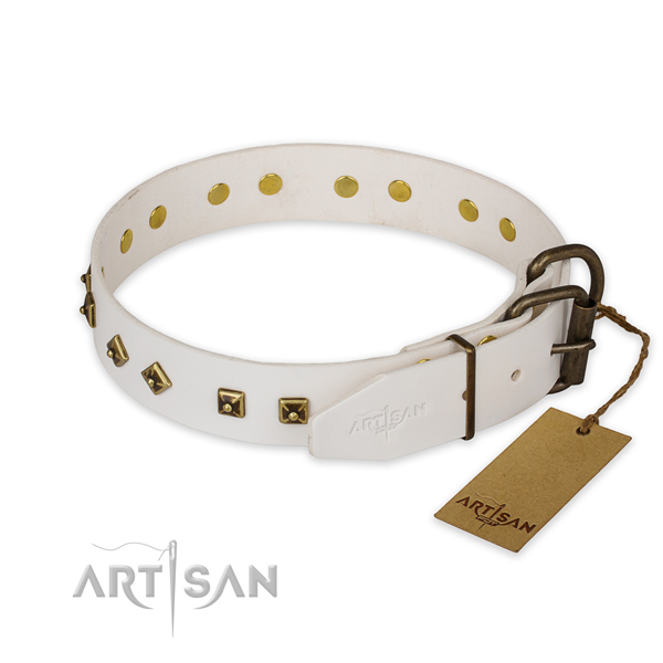 Corrosion proof buckle on leather collar for basic training your canine
