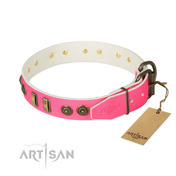 Corrosion proof decorations on leather dog collar for your pet