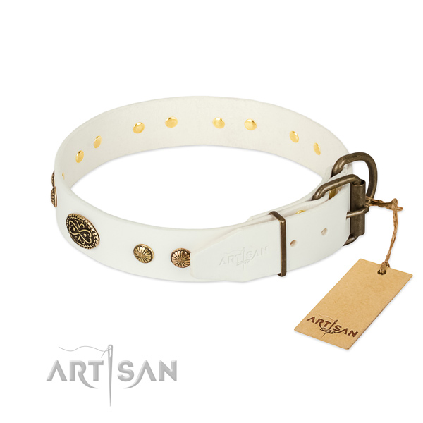 Rust-proof adornments on genuine leather dog collar for your canine