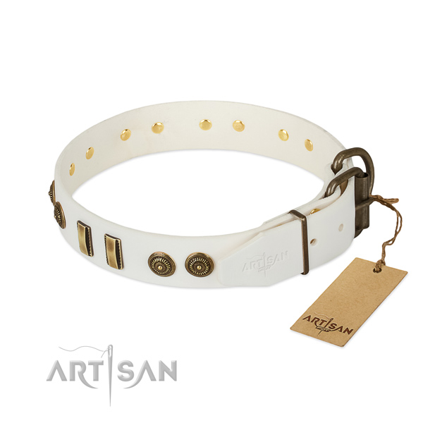 Corrosion proof D-ring on natural leather dog collar for your pet