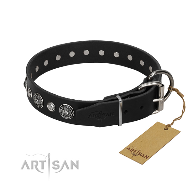 Quality full grain leather dog collar with amazing adornments