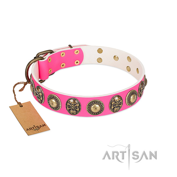 Easy wearing full grain genuine leather dog collar for stylish walking your doggie