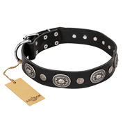 "Black Tie" FDT Artisan Leather Great Dane Collar with Old Silver-like Decorations