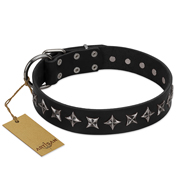 "Lights-out" FDT Artisan Black Leather Great Dane Collar with Silver-like Set of Stars