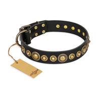 "Gold Mine" FDT Artisan Black Leather Great Dane Collar with Amazing Bronze-Plated Round Studs