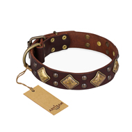 "Golden Square" FDT Artisan Brown Leather Great Dane Collar with Large Squares