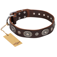 "Extra Pizzazz" FDT Artisan Adorned Brown Leather Great Dane Collar
