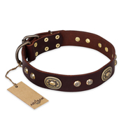 "Breath of Elegance" FDT Artisan Decorated with Plates Brown Leather Great Dane Collar
