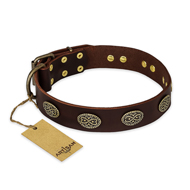 "Chocolate kiss" FDT Artisan Leather Great Dane Collar with Old Bronze Look Oval Plates