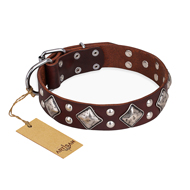 "King of Grace" FDT Artisan Stylish Leather Great Dane Collar with Old Silver-Like Plated Decorations