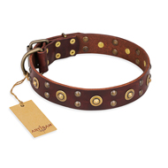 "Caprice of Fashion" FDT Artisan Brown Leather Great Dane Collar with Round Decorations