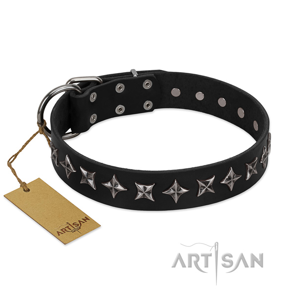 Handy use dog collar of finest quality leather with adornments