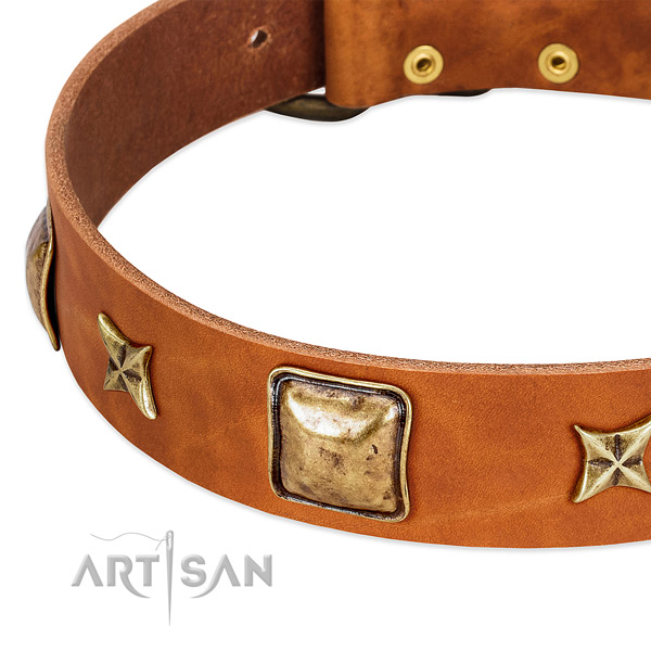 Rust resistant buckle on full grain genuine leather dog collar for your four-legged friend